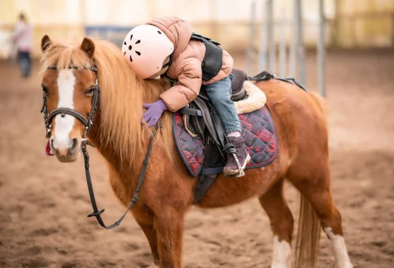 Un enfant casqué enlace l'encolure d'un poney alezan